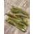 Силікон Keitech Easy Shiner 2" #101 Green Pumpkin PP. (12 шт / уп) к:green pumpkin pp., Довжина силікону: 2" (5.1 см), Колір силікону: #101 Green Pumpkin PP., фото , изображение 15