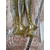 Силікон Keitech Easy Shiner 4.5" #414 Green Pumpkin PP.Shad (6 шт / уп) к:green pumpkin pp shad, Длина силикона: 4.5" (11.4 см), Расцветка силикона: #414 Green Pumpkin PP.Shad, фото , изображение 14