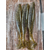 Силікон Keitech Easy Shiner 4.5" #414 Green Pumpkin PP.Shad (6 шт / уп) к:green pumpkin pp shad, Длина силикона: 4.5" (11.4 см), Расцветка силикона: #414 Green Pumpkin PP.Shad, фото , изображение 15