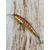 Воблер Imakatsu IK Spin Jerk 65mm 4.2g #79 (0.5-1.0m), Колір воблера: 79, фото , изображение 7