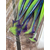 Силикон Keitech Easy Shiner 3.5" ц:pal#06 violet lime berry, Длина силикона: 3.5" (8.9 см), Расцветка силикона: PAL#06 Violet Lime Berry, фото , изображение 9
