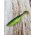Силикон Savage Gear Fat Minnow T-Tail 75mm 5.0g Chartreuse Pumpkin (поштучно), Длина силикона: 75mm, Расцветка силикона: Chartreuse Pumpkin, фото , изображение 3