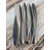 Силікон Keitech Shad Impact 4" (8 шт/упак), колір:420 pro blue red pearl, Довжина силікону: 4" (10.2 см), Колір силікону: 420 Pro Blue Red Pearl, фото , изображение 8