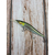 Воблер Megabass Vision Oneten 1 SP 110mm 14.0g Takumi Seochi Ayu, Розмір/Вага: 110мм/14г, Колір воблера: Takumi Seochi Ayu, фото , изображение 4