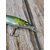 Воблер Megabass Vision Oneten 1 SP 110mm 14.0g Takumi Seochi Ayu, Розмір/Вага: 110мм/14г, Колір воблера: Takumi Seochi Ayu, фото , изображение 8