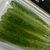 Силікон Keitech Swing Impact 3.5" (8 шт/упак), колір:ea#05 hot fire tiger, Довжина силікону: 3.5" (8.9 см), Колір силікону: EA#05 Hot Fire Tiger, фото , изображение 8