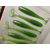 Силікон Keitech Swing Impact FAT 3.8" (6 шт/упак), колір:424 lime chartreuse, Довжина силікону: 3.8" (9.7 см), Колір силікону: 424 Lime Chartreuse, фото , изображение 7