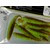 Силикон Keitech Easy Shiner 3" (10 шт/упак) ц:401 greenpumpkinpp.chart, Длина силикона: 3" (7.6 см), Расцветка силикона: 401 Green Pumpkin/Chartreuse, фото , изображение 11