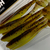 Силікон Keitech Easy Shiner 3" (10 шт/упак), колір:pal#10 bumblebee, Довжина силікону: 3" (7.6 см), Колір силікону: PAL#10 Bumblebee, фото , изображение 9