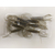 Силикон Keitech Little Spider 3" (8 шт/упак) ц:440 electric shad, Длина силикона: 3" (7.6 см), Расцветка силикона: 440 Electric Shad, фото , изображение 7