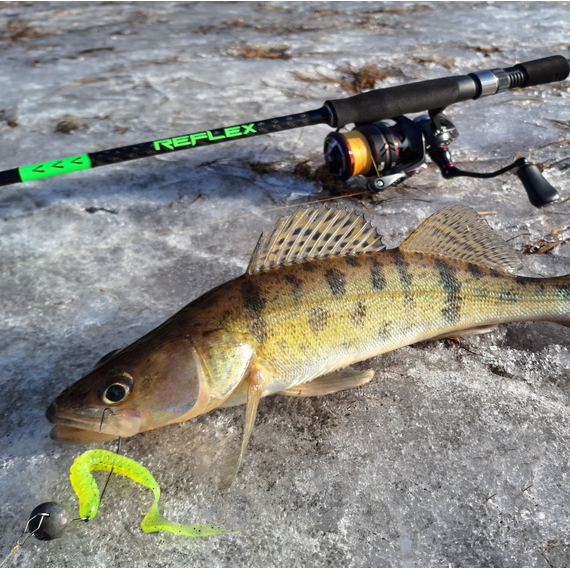 Спінінг Select Reflex RFL-802ML 2.44m 4-16g Fast, Модель: 2.44m 4-16g, фото , изображение 6