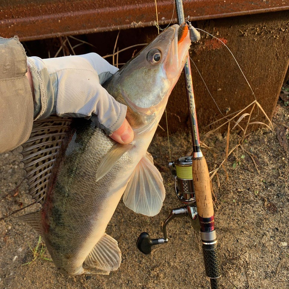 Джиг-комплект уловистого силикона с поводками в коробке: на щуку, судак, окунь, фото , изображение 9