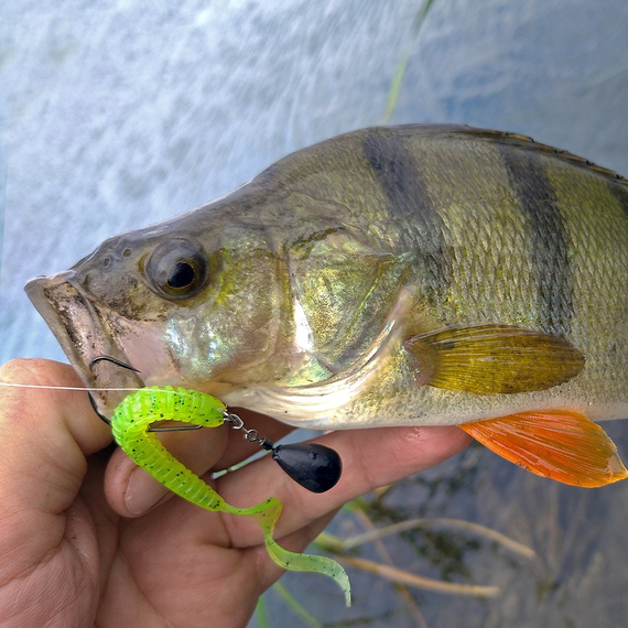 Джиг-комплект уловистого силикона с поводками в коробке: на щуку, судак, окунь, фото , изображение 10