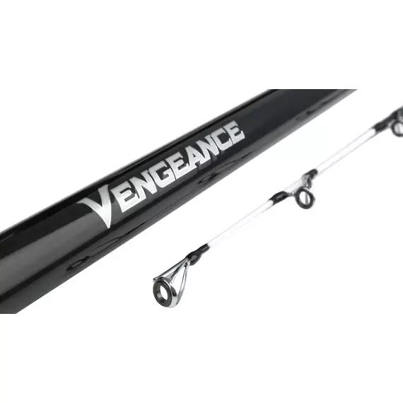 Вудлище морське Shimano Vengeance 425BX Tubular Tip 4.25m max 225g, фото , изображение 3