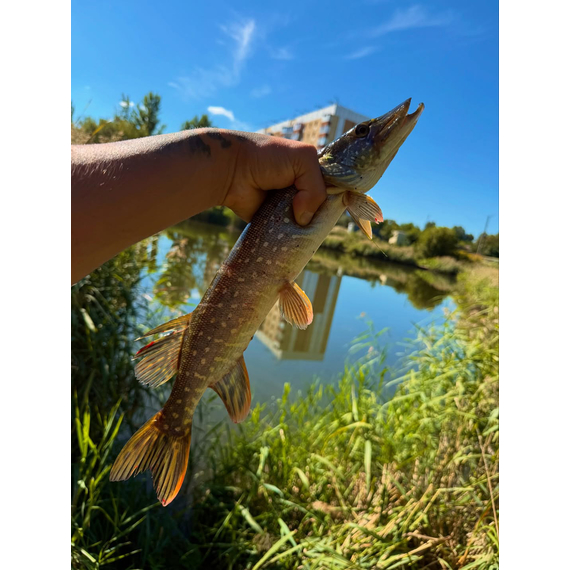 Спінінг Select Force FRC-802MH 2.44m 10-32g Fast, Модель: 2.44m 10-32g, фото , изображение 3