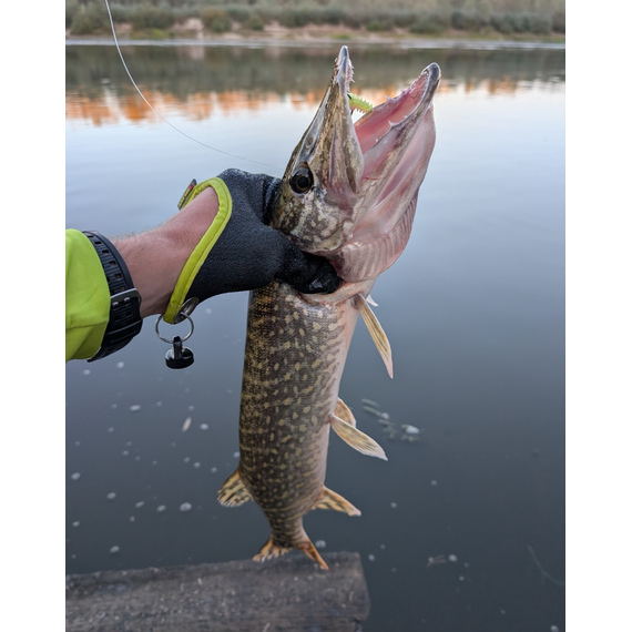 Риболовна рукавичка Select Pike-II права M — для безпечного виважування риби, комфортна та водостійка, Розмір: M (права), фото , изображение 7