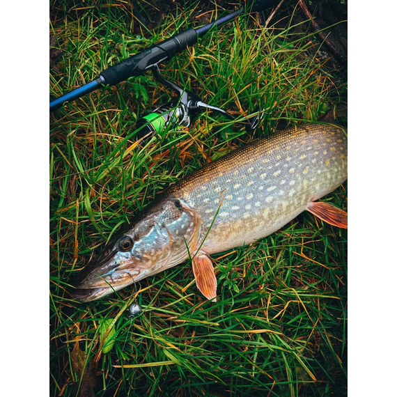 Спінінг Favorite Skyline SKY1-762L 2.29m 3-14g Ex.Fast, Модель: 2.29m 3-14g, фото , изображение 14