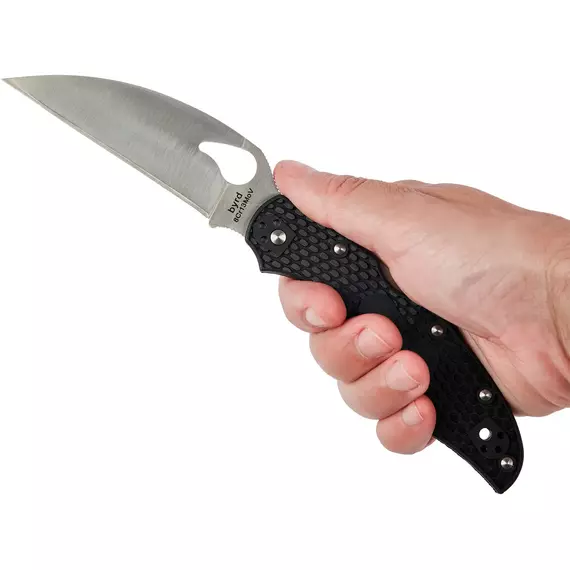 Ніж Spyderco Byrd Cara Cara 2 Wharncliffe, к:black, фото 