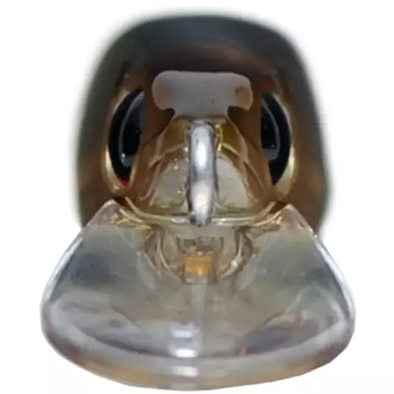 Воблер OSP Asura Durga 73 SP 73mm 4.7g S95 (1.4m), Цвет воблера: S95, фото , изображение 2