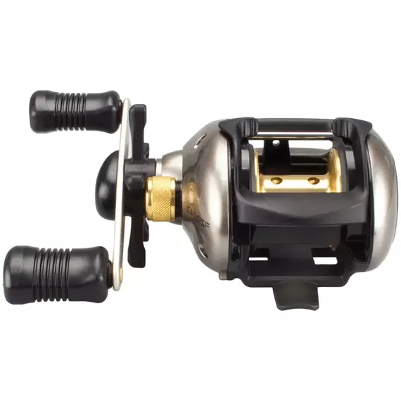 Катушка Shimano Castaic 201SF, фото , изображение 4