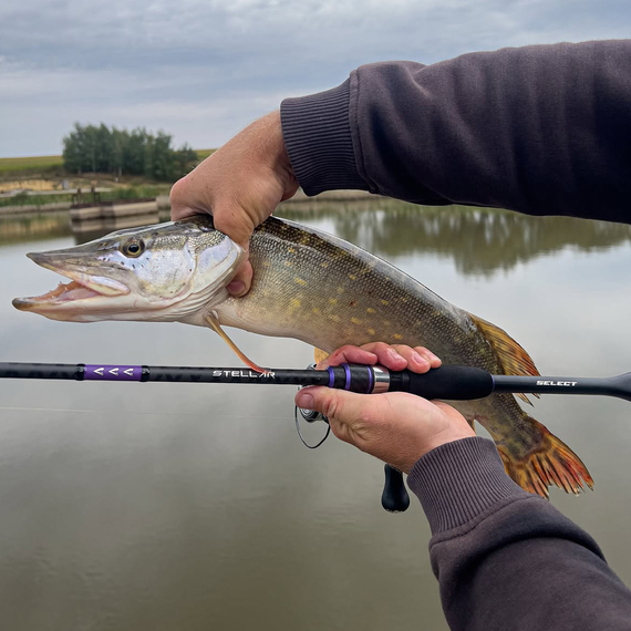 Спінінг Select Stellar 802MH / 2.44m / 6-30g / Fast, Модель: 2.44m 6-30g, фото , изображение 9