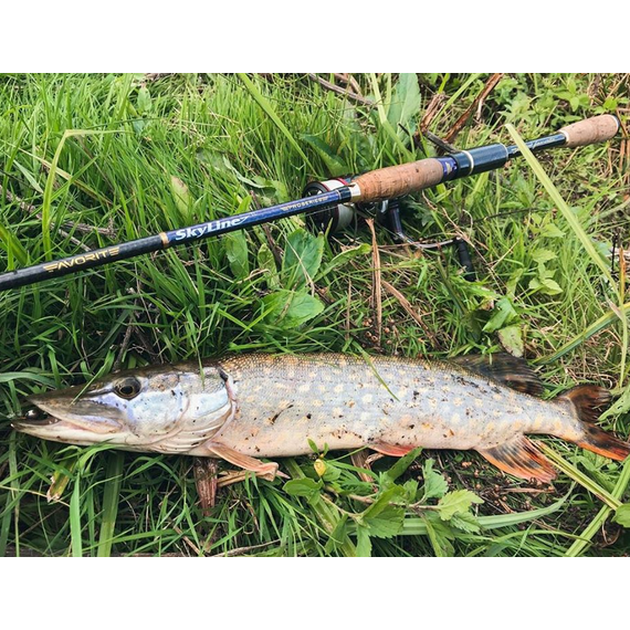 Спиннинг Favorite Skyline TZ NEW SKYTZ-842H 2.54m 20-60g Ex.Fast, Модель: 2.54m 20-60g, фото 