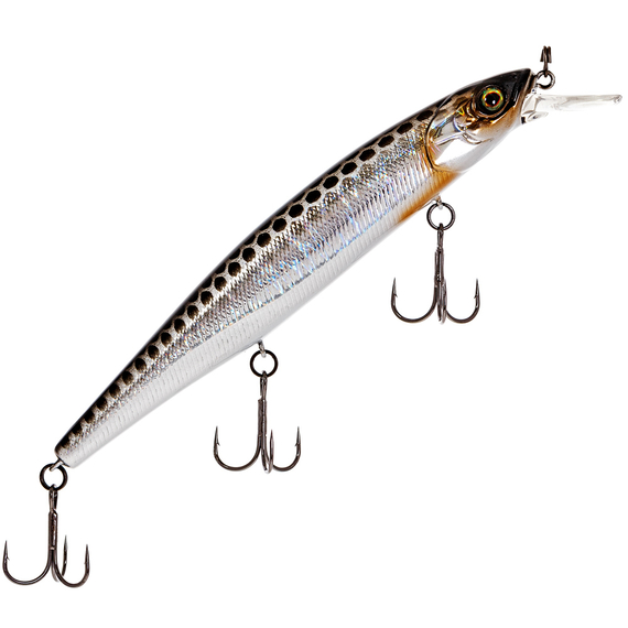 Воблер Jackall MagSquad 115SP 115mm 16.0g HL Gold & Silver Black, Розмір/Вага: 115мм/16г, Колір воблера: HL Gold & Silver Black, фото , изображение 3