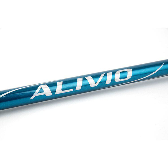 Вудлище морське Shimano Alivio FX Surf TE 4.2m 200g (2020), Модель: 4.2m 200g, фото , изображение 3