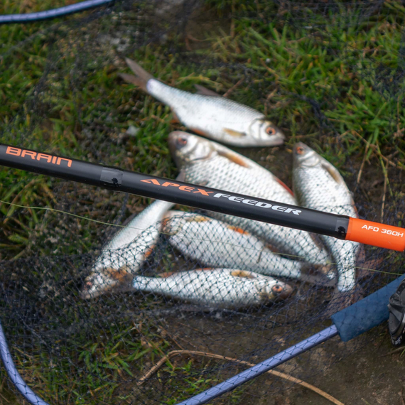 Фидер Brain Apex NEW (2021) 3.90m max 120g, Модель: 3.9m 120g, фото , изображение 6