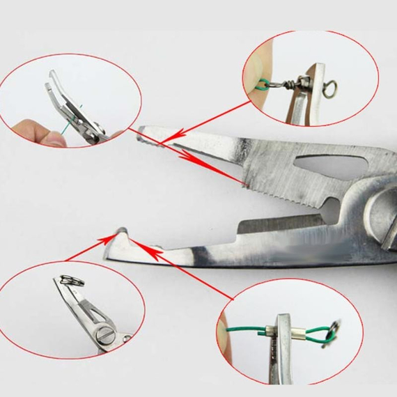 Плоскогубці риболовні, фото , изображение 2