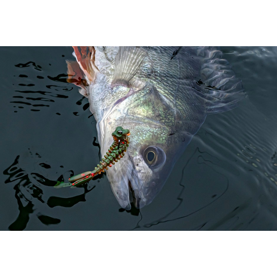 Комплект силіконових приманок на окуня, фото , изображение 6