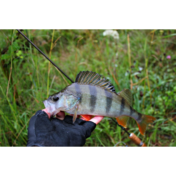 Комплект силіконових приманок на окуня, фото , изображение 9