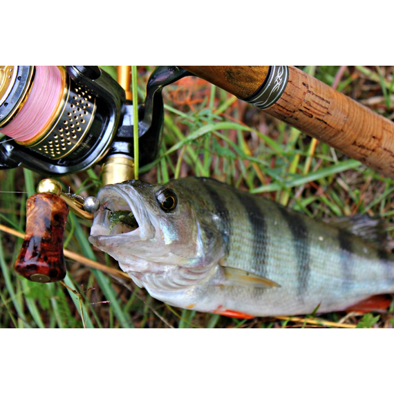 Комплект силіконових приманок на окуня, фото , изображение 8