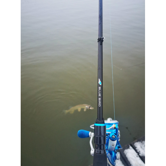 Спінінг Favorite Blue Bird BB1-682SUL-S 2.04m 0.8-5g Ex.Fast, Модель: 2.04m 0.8-5g, фото , изображение 14