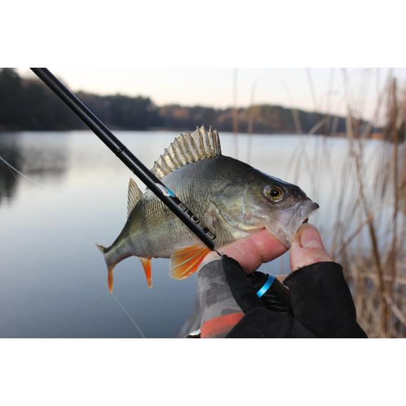 Спінінг Favorite Blue Bird BB1-732L-T 2.19m 3-12g Fast, Модель: 2.19m 3-12g, фото , изображение 12