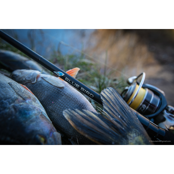 Спінінг Favorite Blue Bird BB1-832ML-T 2.51m 4-16g Fast, Модель: 2.51m 4-16g, фото , изображение 11