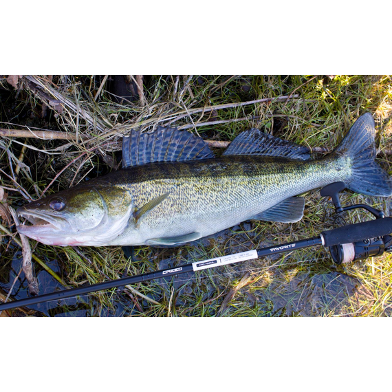 Спиннинг Favorite Creed CRD-762MH 2.29m 10-32g Ex.Fast, Модель: 2.29m 10-32g, фото , изображение 12